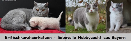 Visitenkarteklein