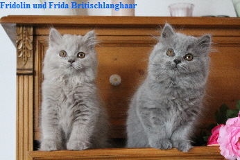 FridolinFrida19