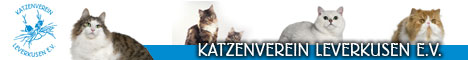 kvl_banner
